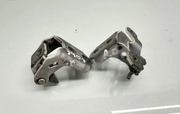 Renault Megane IV Front door hinge set 8888