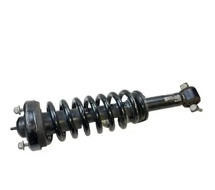 Ford F150 Front shock absorber with coil spring GL3418045
