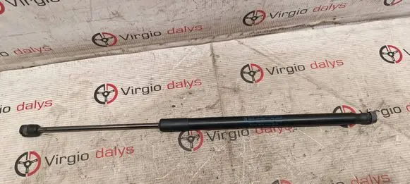 Tailgate/trunk strut/damper