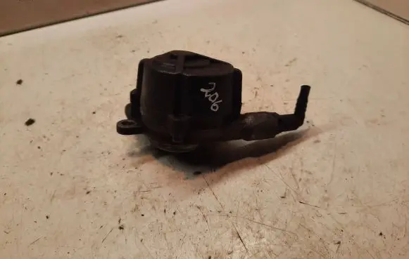 Peugeot 206 Vacuum pump D1431A01031