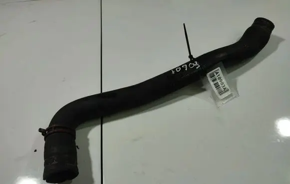 Ford Focus Engine coolant pipe/hose