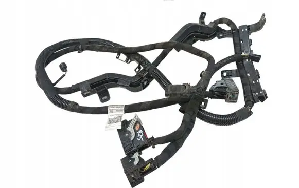 Alfa Romeo Tonale Wiring harness 00505728980