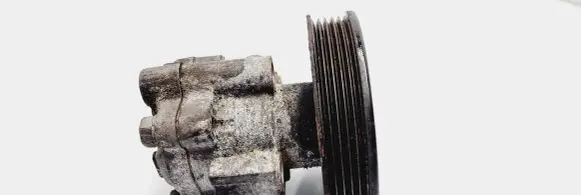 KIA Carnival Power steering pump