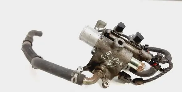 Thermostat/thermostat housing
