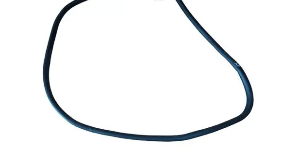 Ford Kuga III Front door rubber seal 