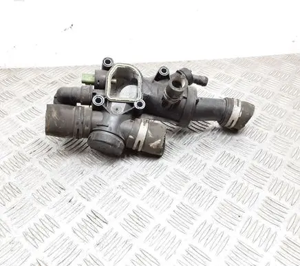 Thermostat/thermostat housing