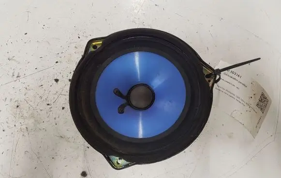 Panel speaker