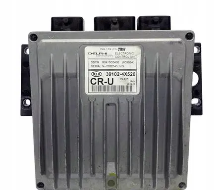 KIA Carnival Engine control unit/module 391024X520