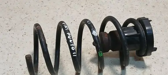 Rear coil spring