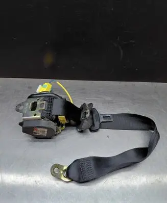 Porsche Cayenne (9PA) Rear seatbelt 560981701