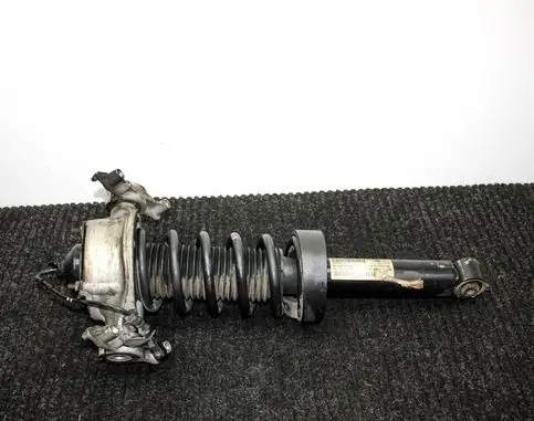 Porsche Cayenne (92A) Rear shock absorber/damper 7P0512302 7P5513029K