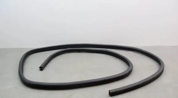 Nissan Juke I F15 Rubber seal front coupe door 