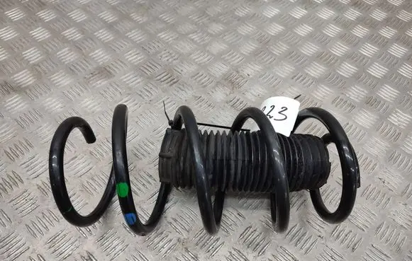 Ford Transit - Tourneo Connect Front coil spring 
