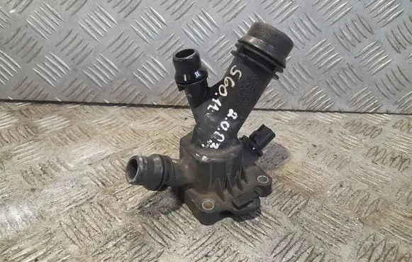 Thermostat/thermostat housing