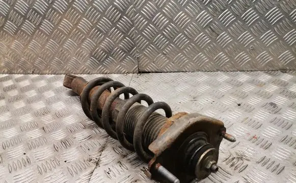 Toyota Corolla Verso AR10 Rear shock absorber with coil spring 483410f010