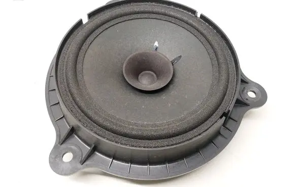 Renault Kadjar Rear door speaker