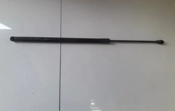 Opel Antara Tailgate/trunk strut/damper 96661403