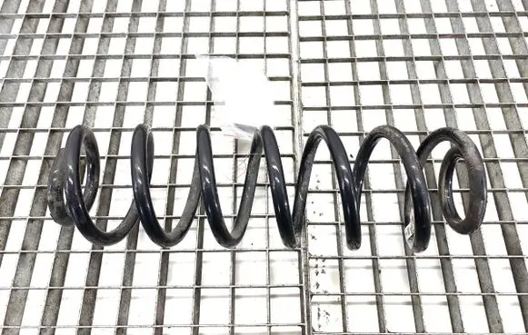 Rear coil spring