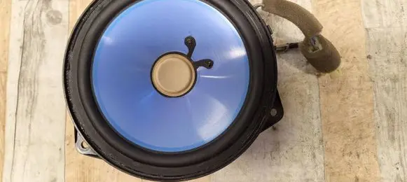 Rear door speaker