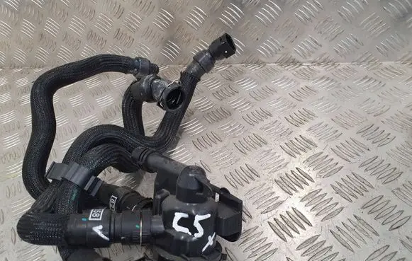 Citroen C5 X Thermostat 9843217680