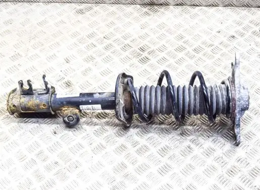 Fiat 500X Rear shock absorber/damper 00520360270