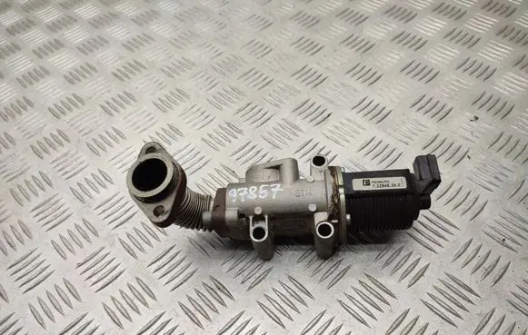 Opel Signum EGR valve 722946380
