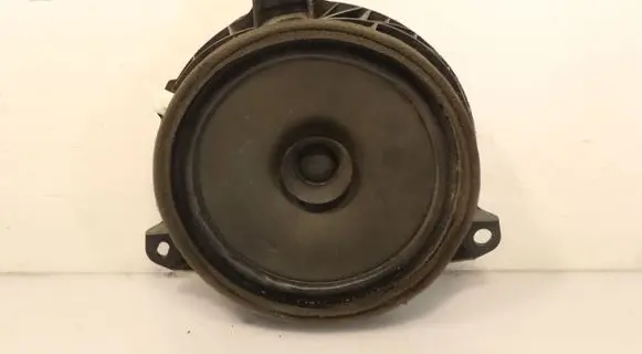 Rear door speaker