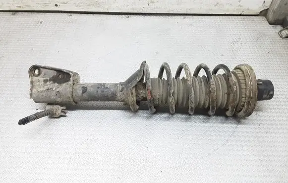 Land Rover Freelander Rear shock absorber with coil spring 