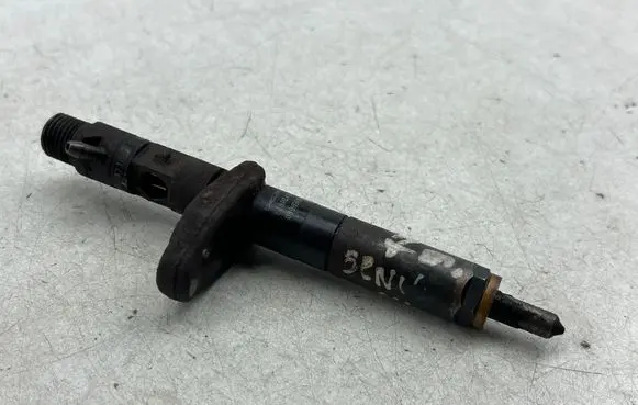 Renault Scenic II - Grand scenic II Fuel injector EJBR04001D 0896GA04F71