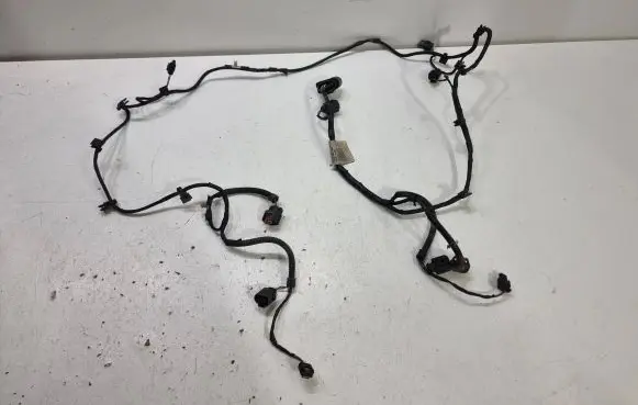 Volkswagen PASSAT B6 Parking sensor (PDC) wiring loom 3C0971095Q 28072006 5M61302288