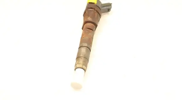 Renault Megane II Fuel injector