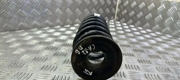 Rear coil spring