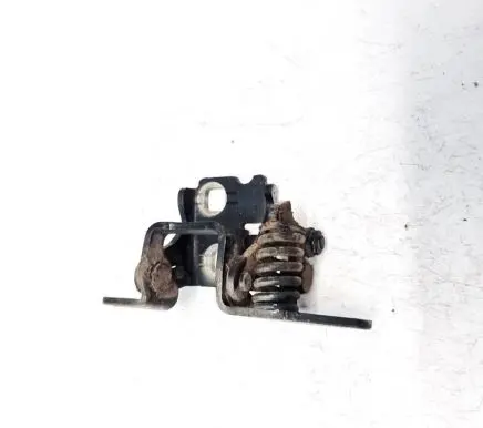 Chrysler Sebring (JS) Rear door lower hinge 85574f 919afl