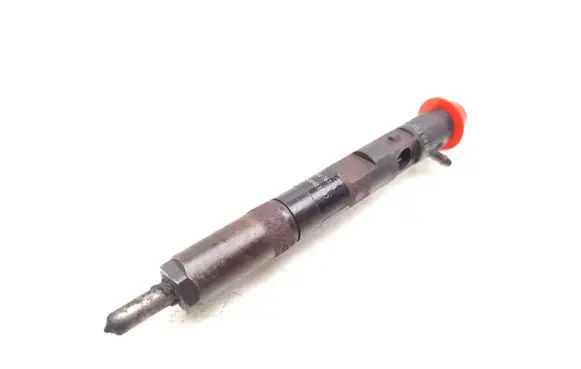 Renault Kangoo I Fuel injector 8200676774 EJBR05101D