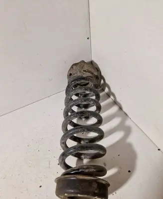 Rear coil spring