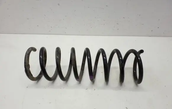 Ford C-MAX II Rear coil spring