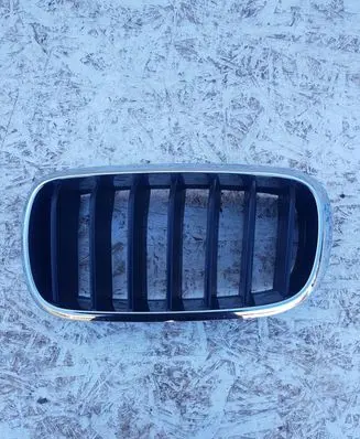 Front bumper upper radiator grill