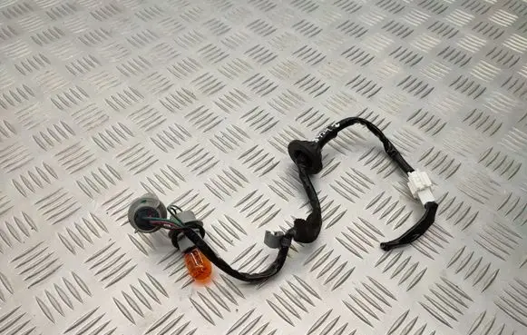 Mazda 2 Tail light bulb cover holder
