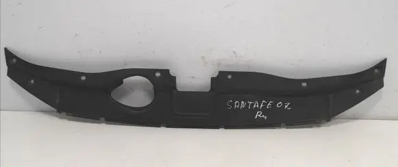 Engine bonnet/hood lock trim molding