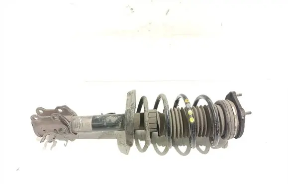 Fiat Doblo Front shock absorber with coil spring