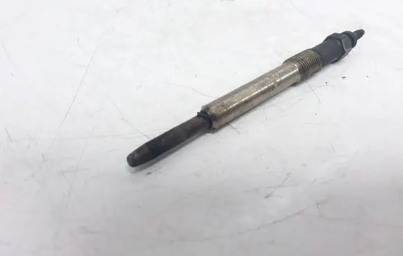 Peugeot 407 Glow plug 0250202048