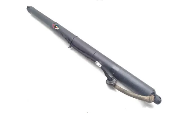Tailgate/trunk strut/damper