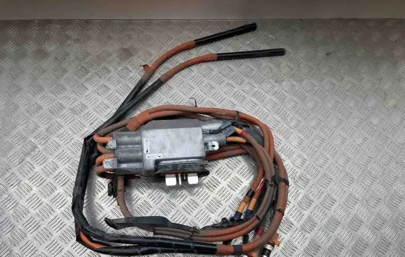 Tesla Model X Other wiring loom 109500010E 106380010C