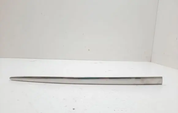 Rear bumper trim bar molding