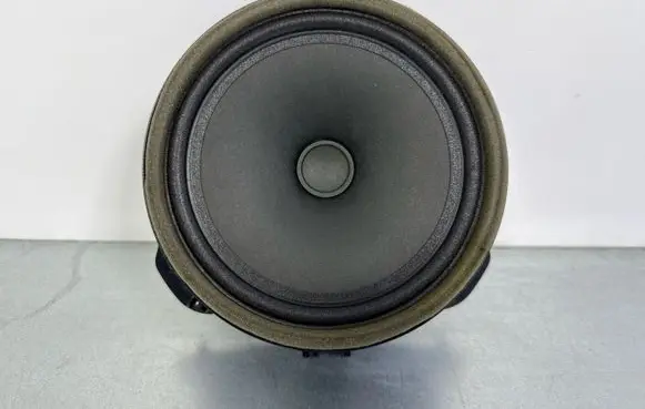 Jaguar F-Pace Front door speaker GX7318808DB