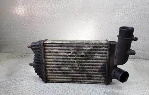 Peugeot Boxer Intercooler radiator 1307012080