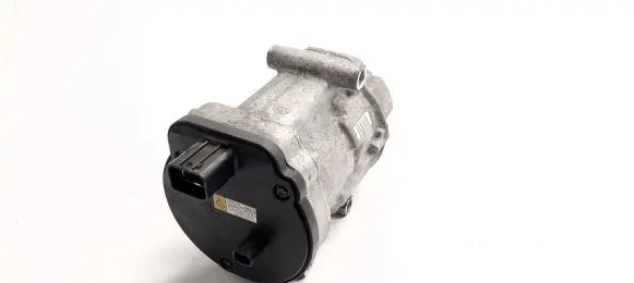 Toyota RAV 4 (XA50) Air conditioning (A/C) compressor (pump) 0424000171