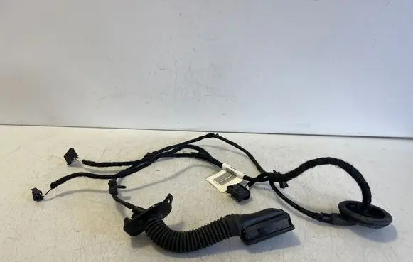 Cupra Born Rear door wiring loom TAB051062J