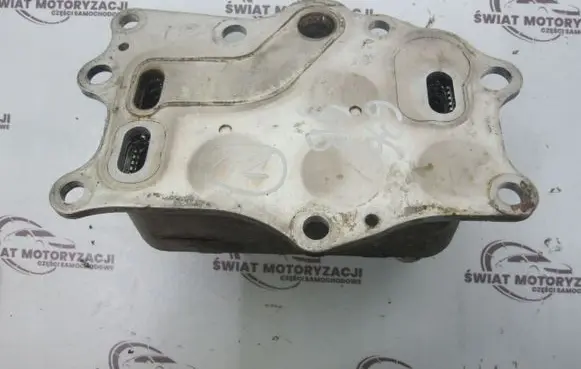 Chevrolet Captiva Oil filter mounting bracket 96868256