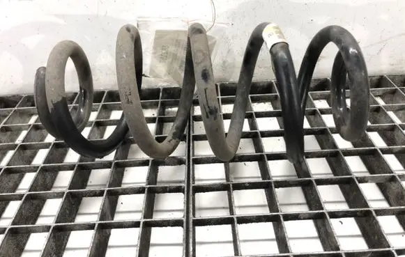 Rear coil spring